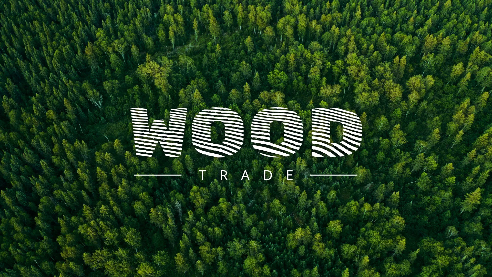 Разработка интернет-магазина компании «Wood Trade» в Саранске